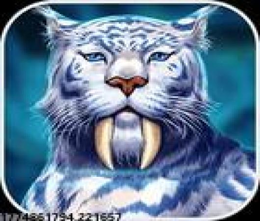 狙神荣耀九游版